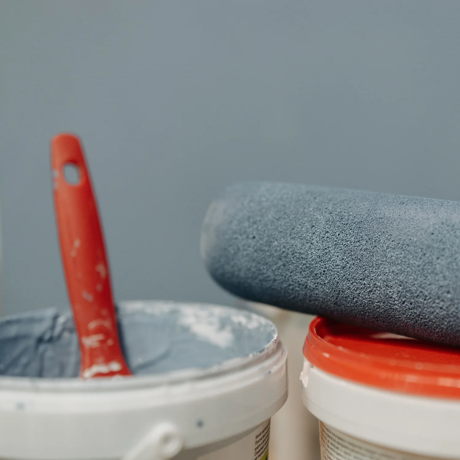 Paint brush roller and bucket